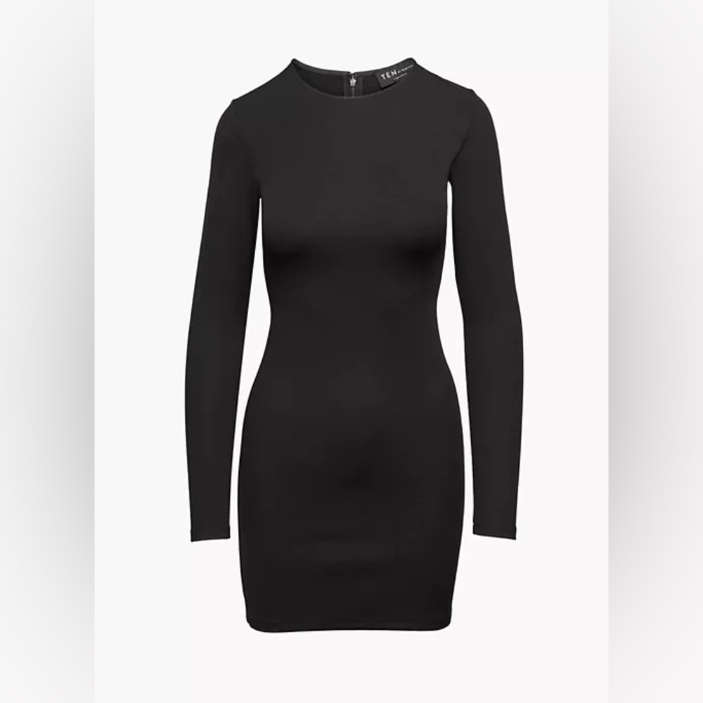 NWT Aritzia Ten by Babaton Dress